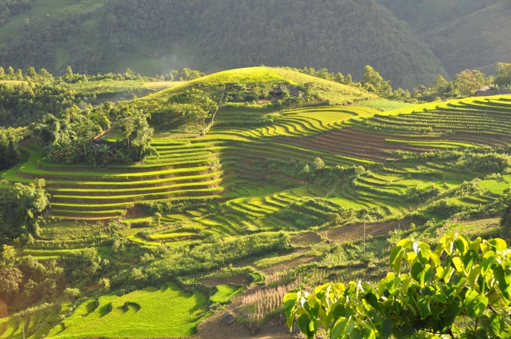 Village de Sapa et ses montagnes