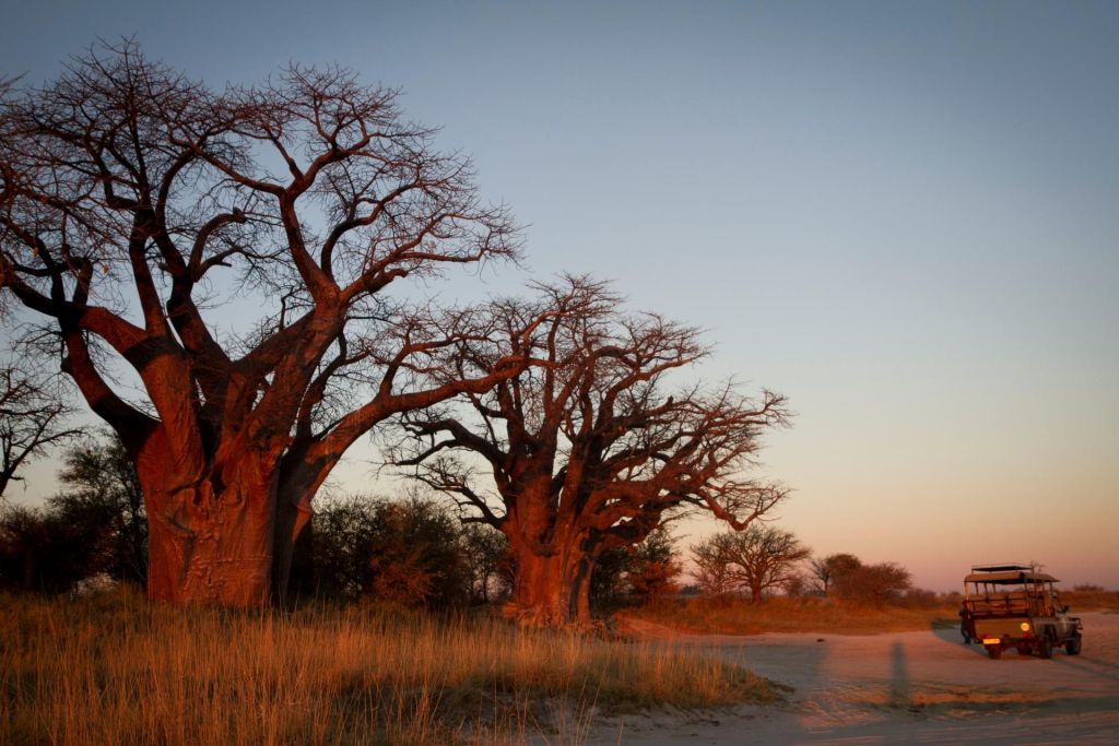 Nxai National Park