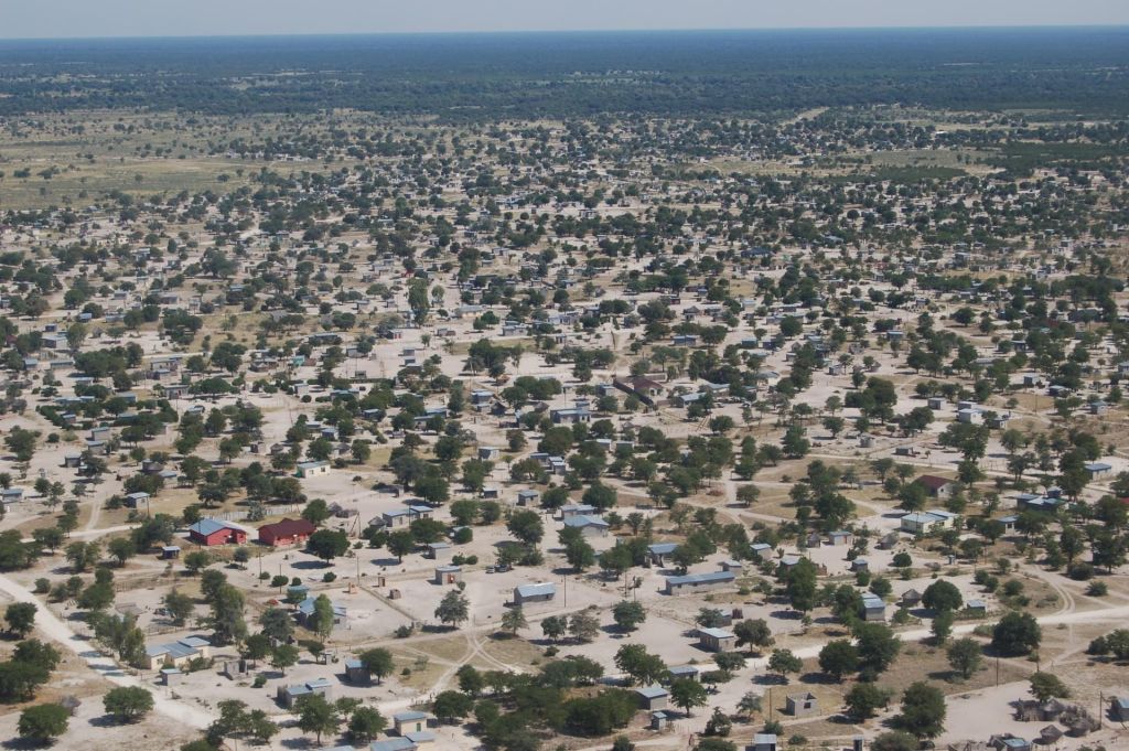 Maun