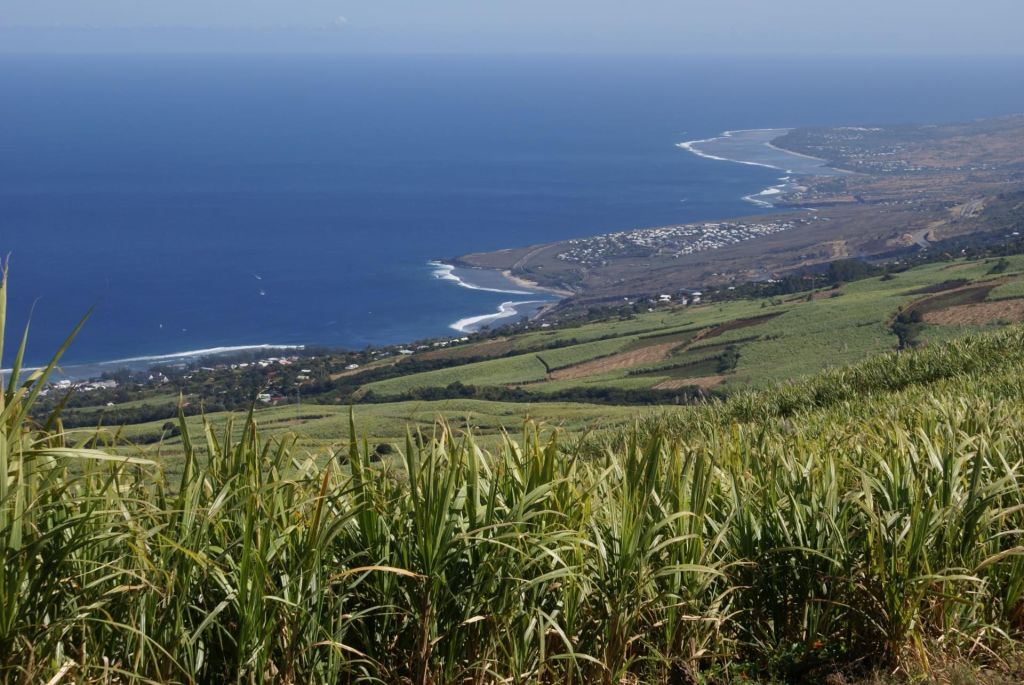 Les Hauts de Saint-Leu