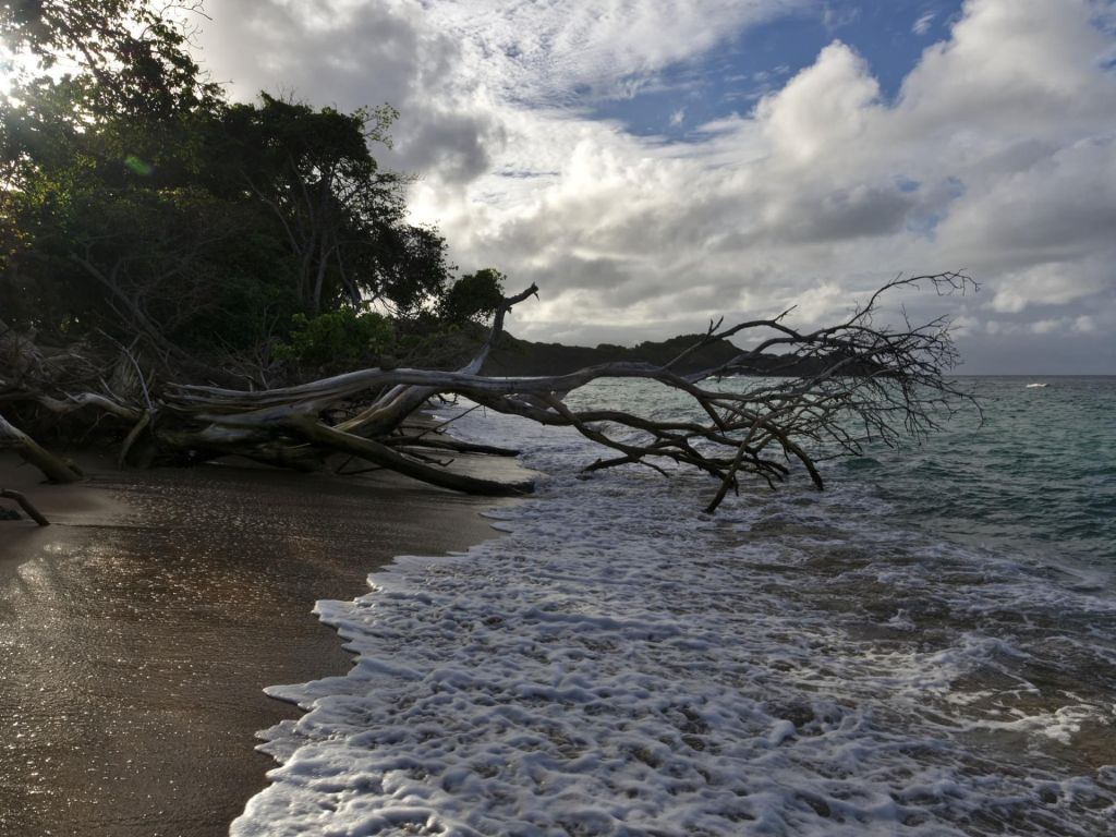 Anse l'Etang