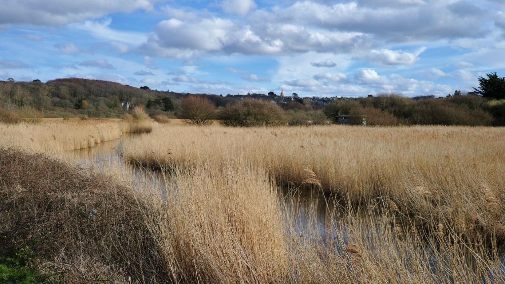 Les marais de Quellen