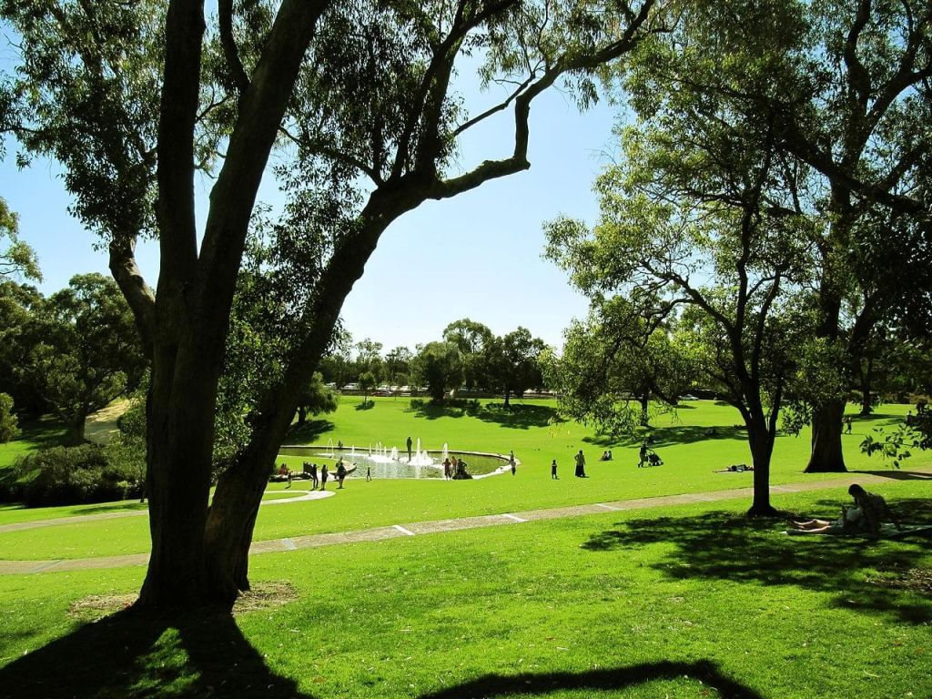 Kings Park et le jardin botanique - Kings Park and Botanical Gardens - Perth