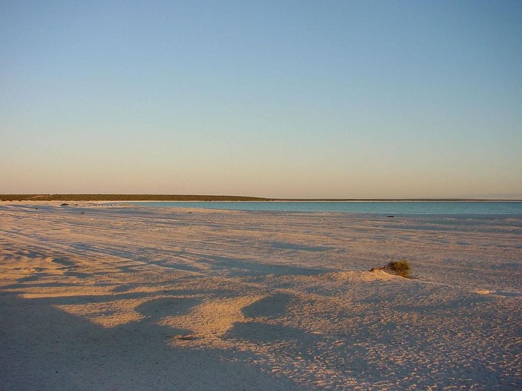 Shell beach - plage de coquillages
