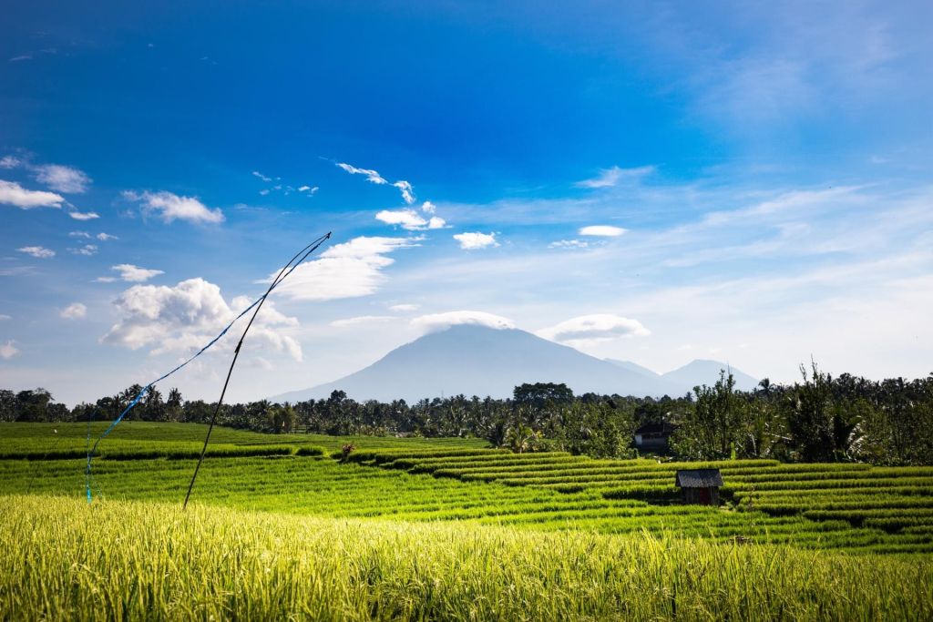 Voyage de Noces à Bali