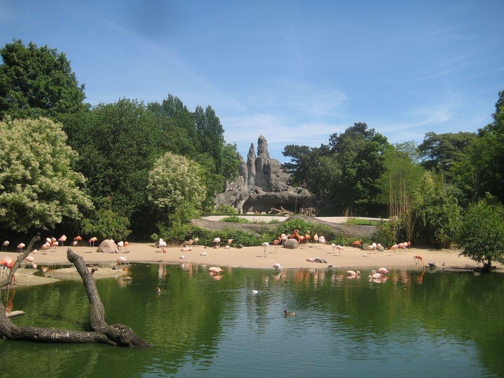 Zoo Tierpark Hagenbeck