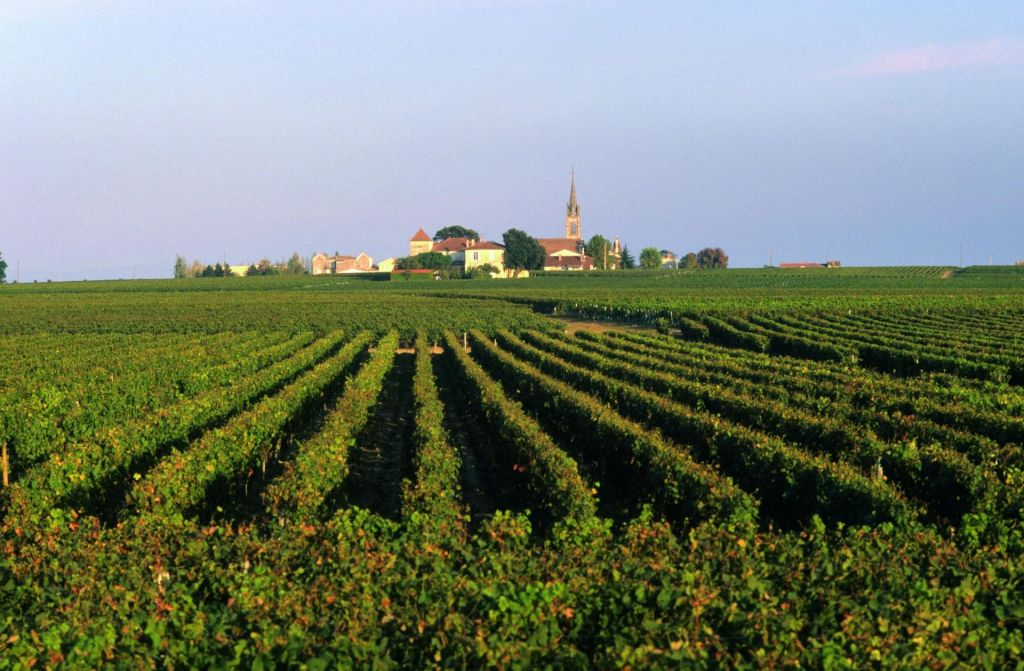 Médoc