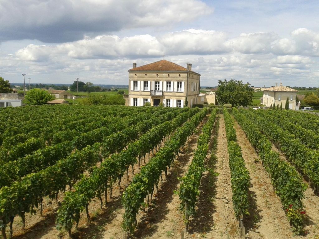 Vignoble de Saint-Emilion