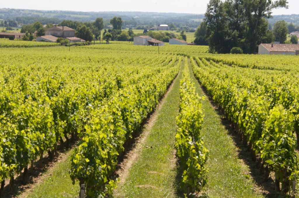 Château Angélus