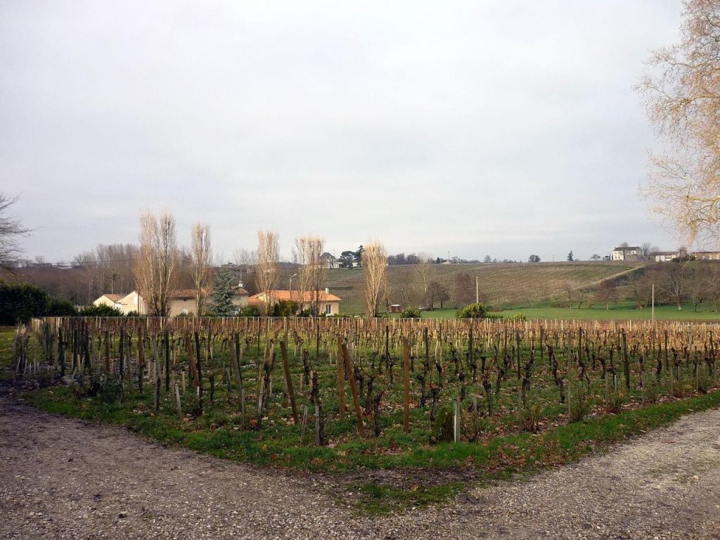 Pomerolmaison des vins