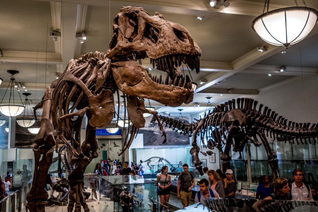 American Museum of Natural History
