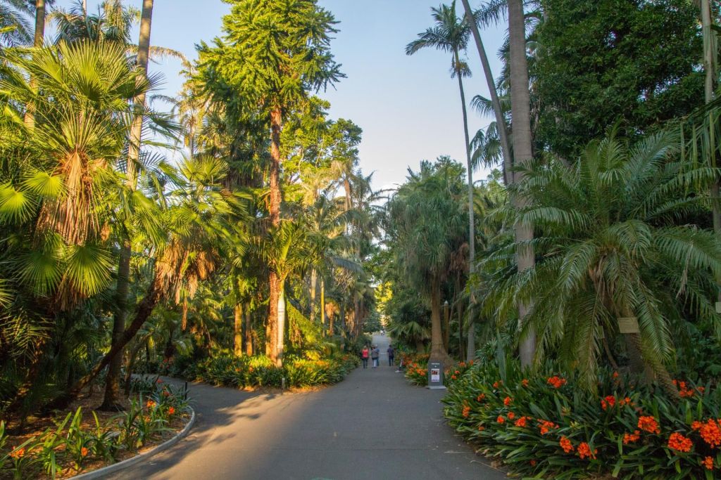Royal Botanic Garden
