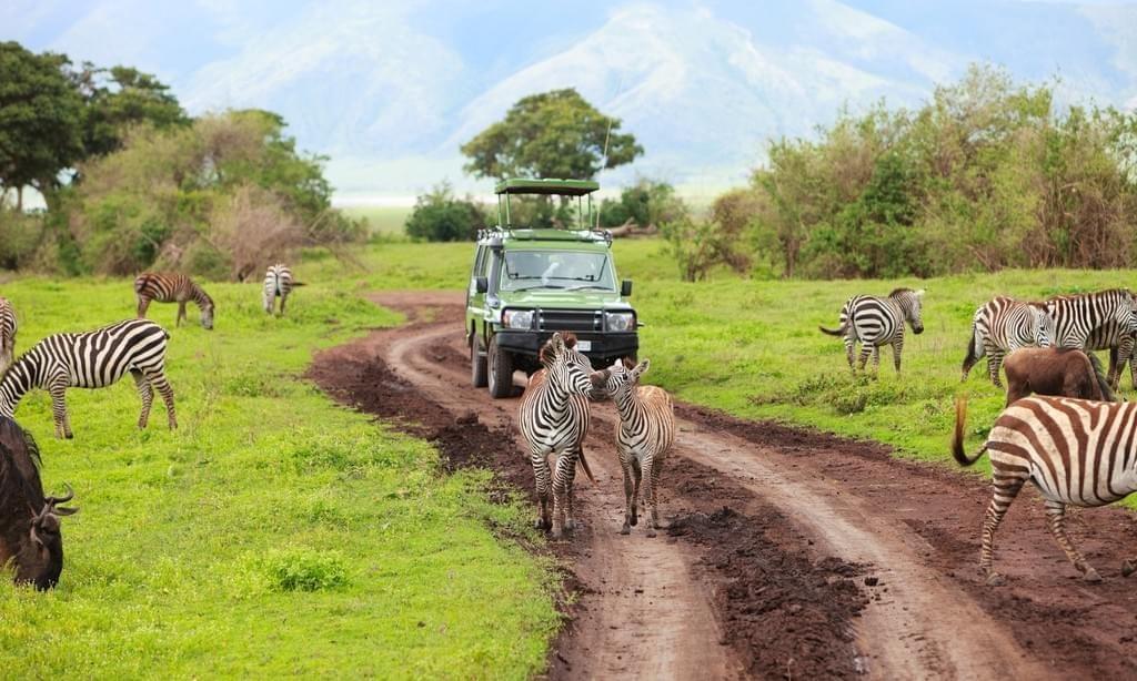 Safari dans le Serengueti