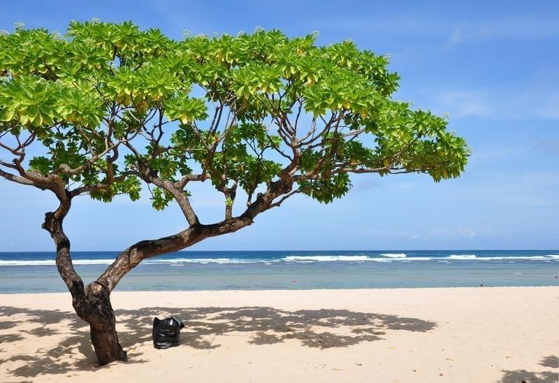 Plage de Bali