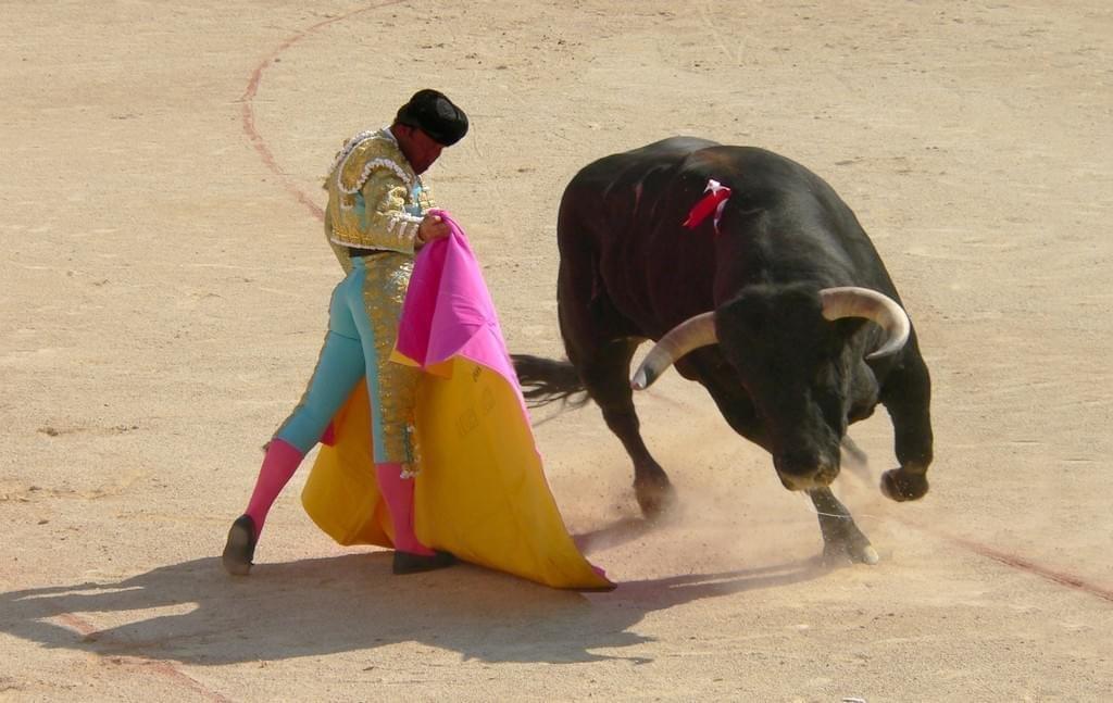 Dans l'arène de la Plaza de Toros de las Ventas