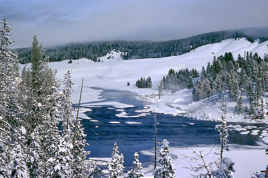 Winter in Yellowstone Wyoming United States Le Parc De Yellowstone