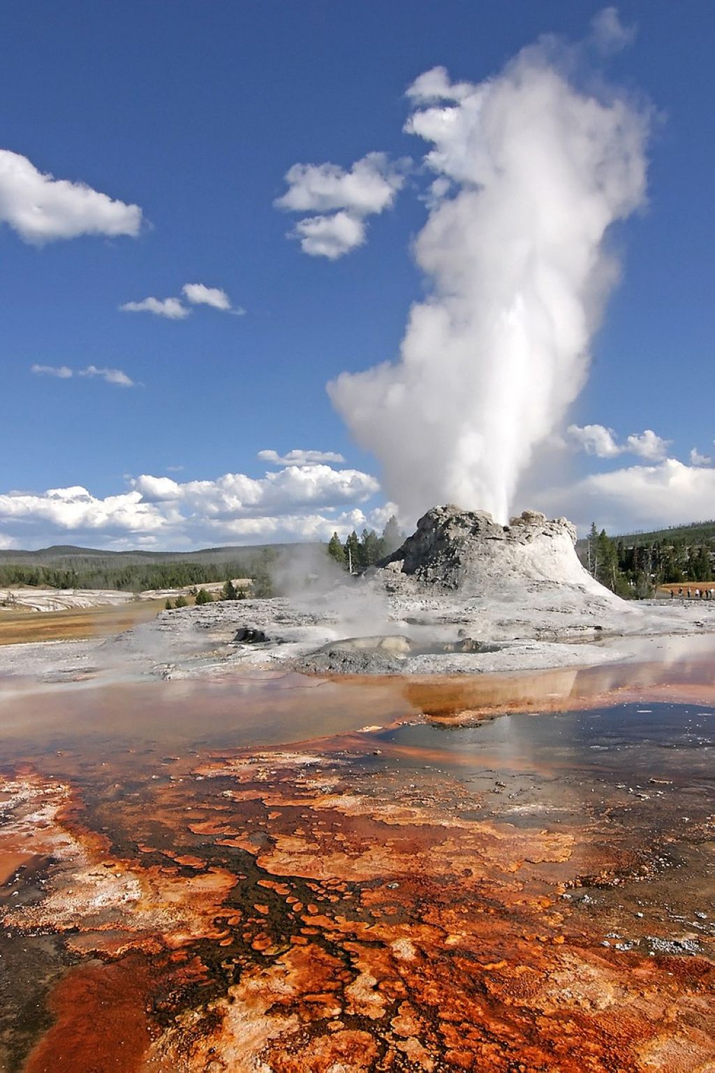 Castle Geyser Yellowstone Le Parc De Yellowstone