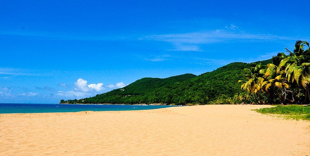 Plage de la Grande Anse à Deshaies Plage De Grand Anse