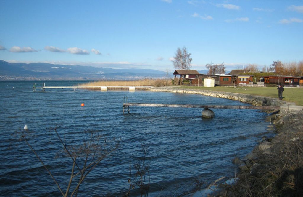 Bord du lac de Neuchâtel près dEstavayerleLac canton de Fribourg Suisse Lac De Neuchâtel