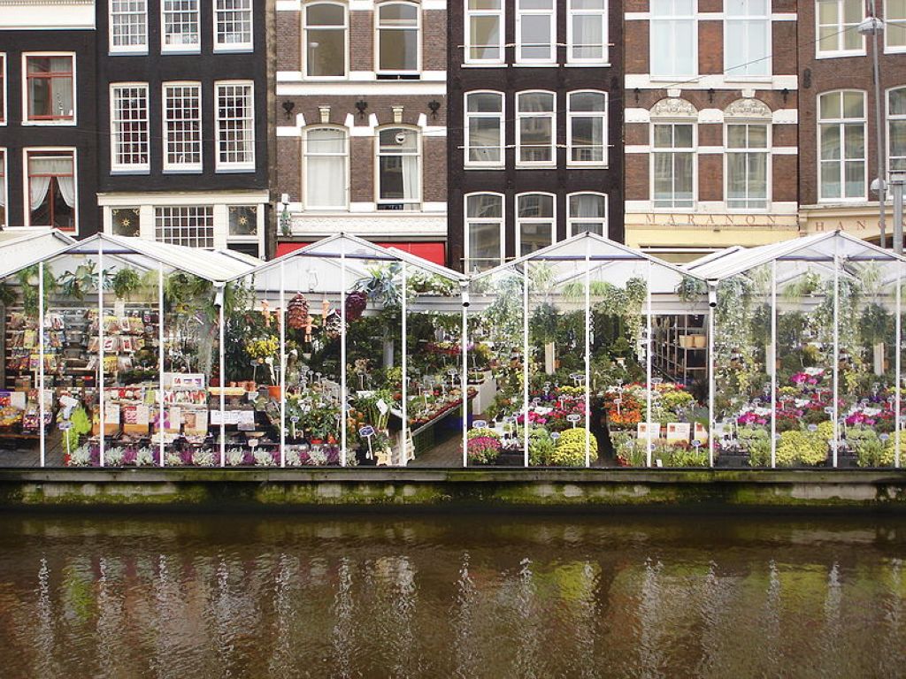 Marché aux fleurs Amsterdam Le Marché Aux Fleurs Damsterdam