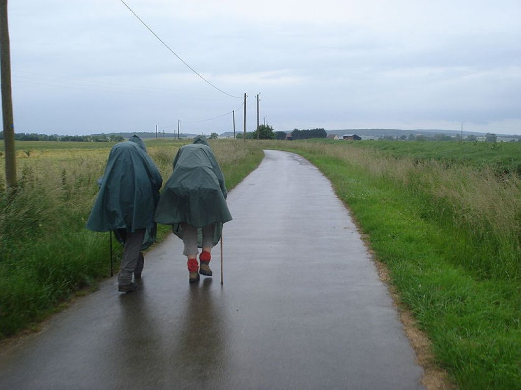 Pilgrims on the Way of StJames near SaintMartindesChamps Chemins De Compostelle