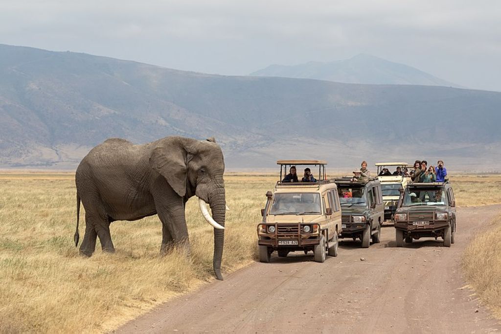Nature of Ngorongoro Conservation Area Le Ngorongoro