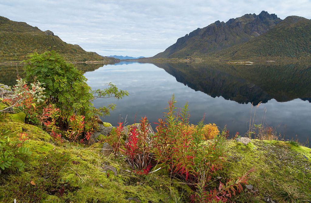 Sløverfjorden towards northeast Austvågøya Lofoten Norway Les Fjords De Norvège
