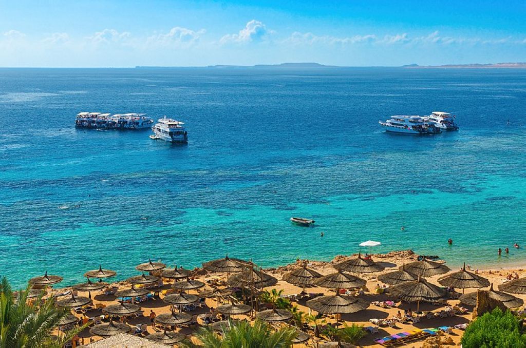 Gold Beach at the Reef Oasis Beach Resort, Ras Um Sid Bay, Sharm el-Sheikh, Egypt. Plongée À Sharm El-Sheikh