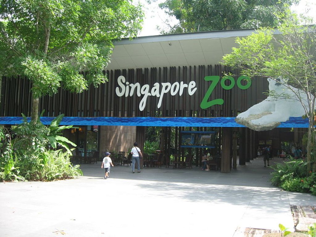 Singapore Zoo Zoo De Singapour