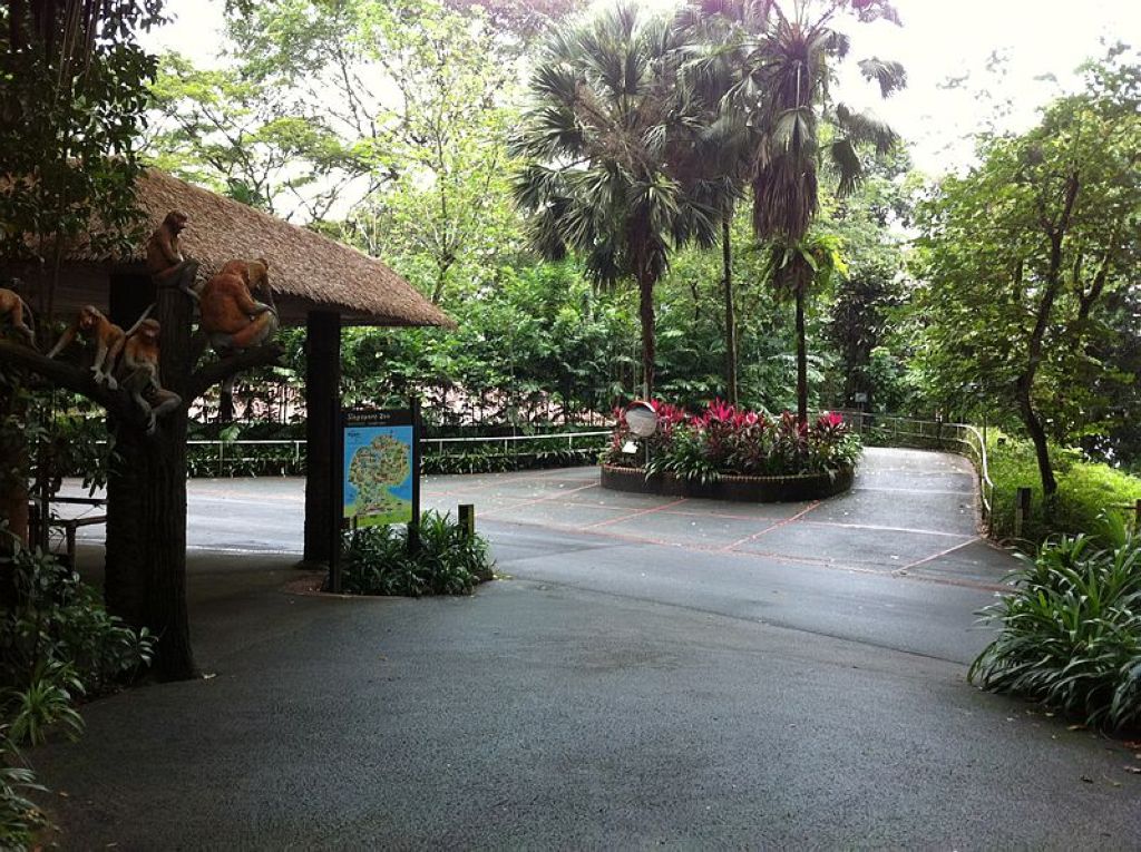 Singapore Zoo Zoo De Singapour