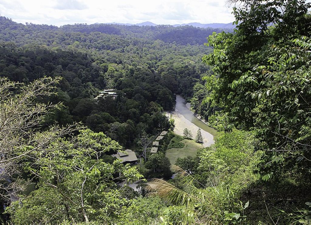 Borneo Rainforest Lodge  Bornéo