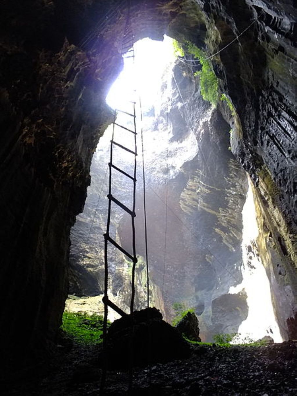 Inside of Gomantong Cave, Malaysia, Borneo Bornéo