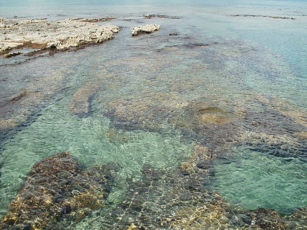 crystal clear waters off of Playa del Carmen Plongée À Playa Del Carmen