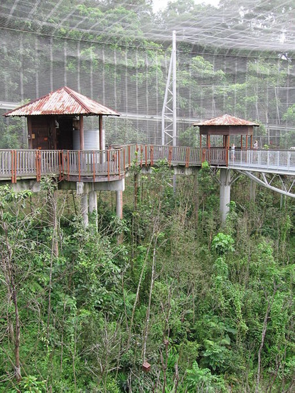 Lory Loft 3 Jurong Bird Park Jurong Bird Park