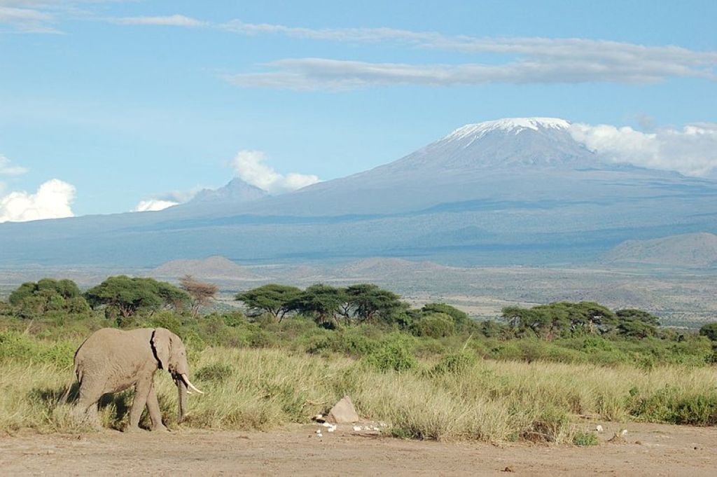 Elephant and Kilimanjaro Le Kilimanjaro
