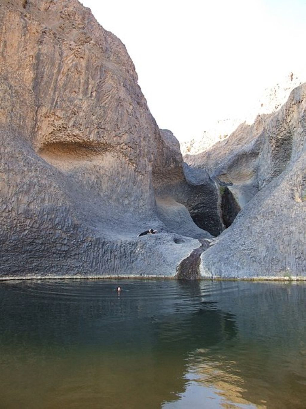 Timia Oasis. Réserves Naturelles De L'aïr Et Du Ténéré