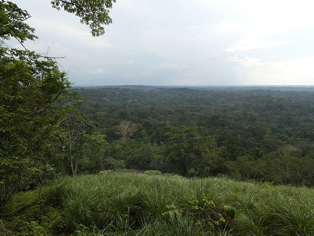 View from Mount Niénokoué in Taï National Park over the rainforest Parc National De Taï