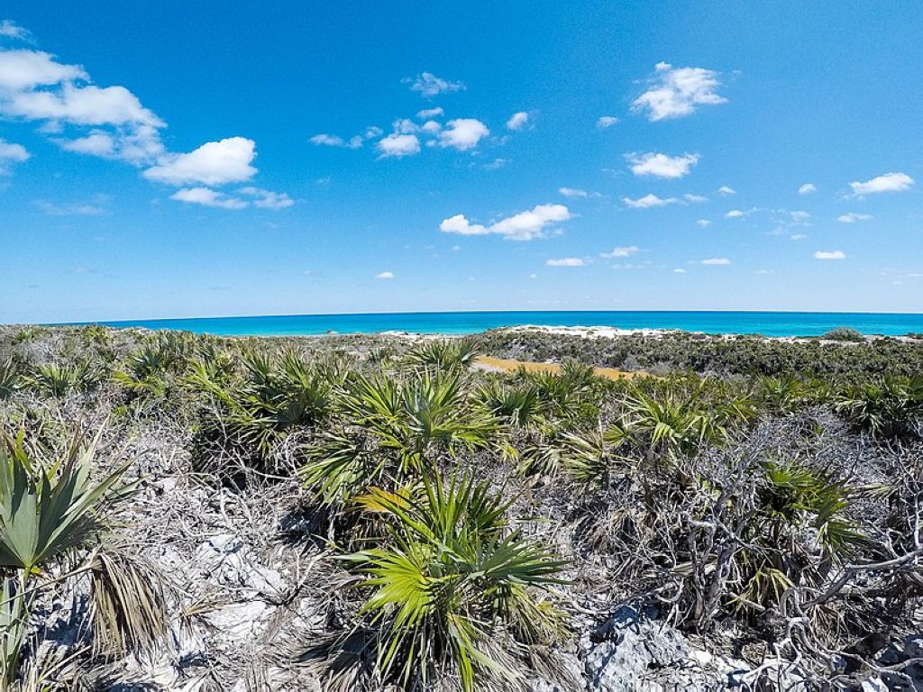Exuma Cays Land and Sea Park Exuma Cays