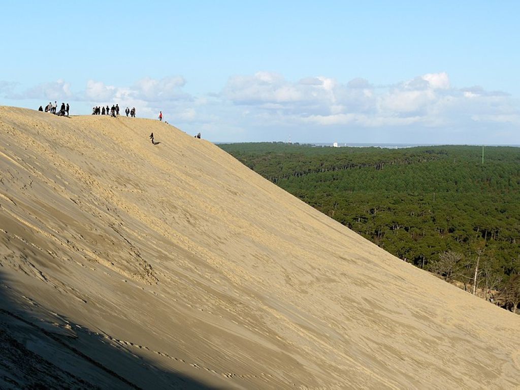 La dune du Pyla vue dune partie de la crête côté terre en direction du nordest La Dune Du Pyla