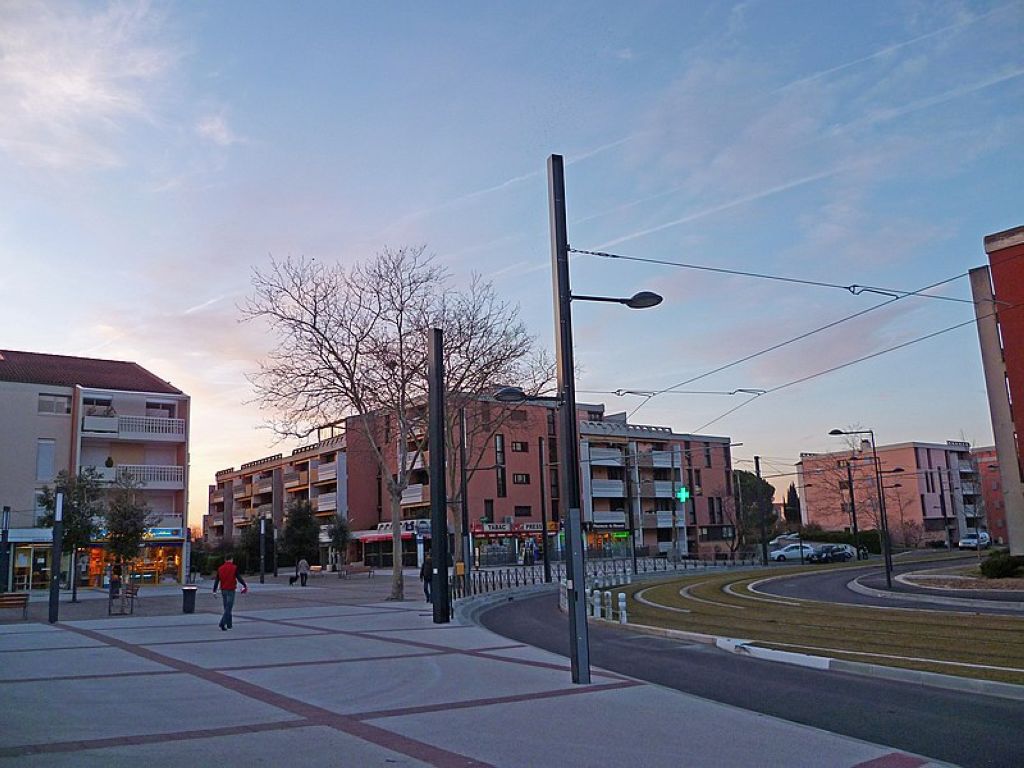Avenue des Pins in Blagnac . Blagnac