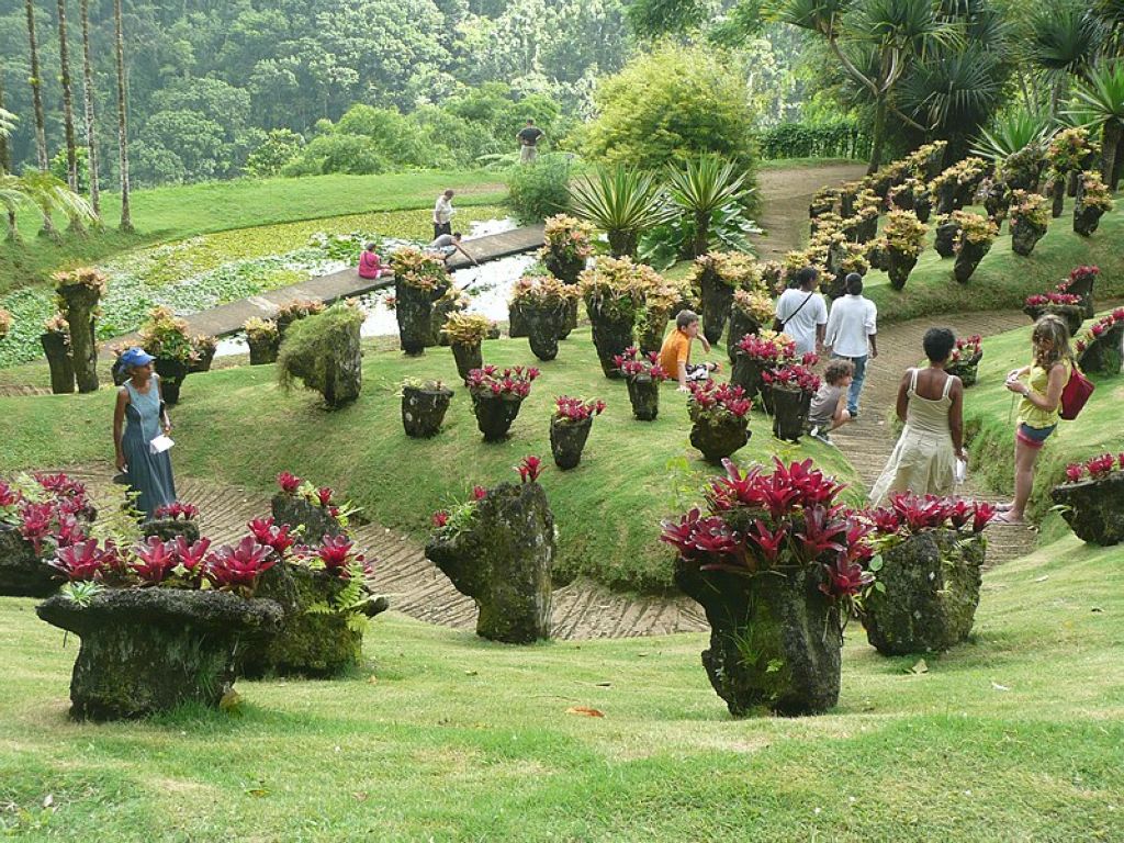 Jardin de Balata FortDeFrance