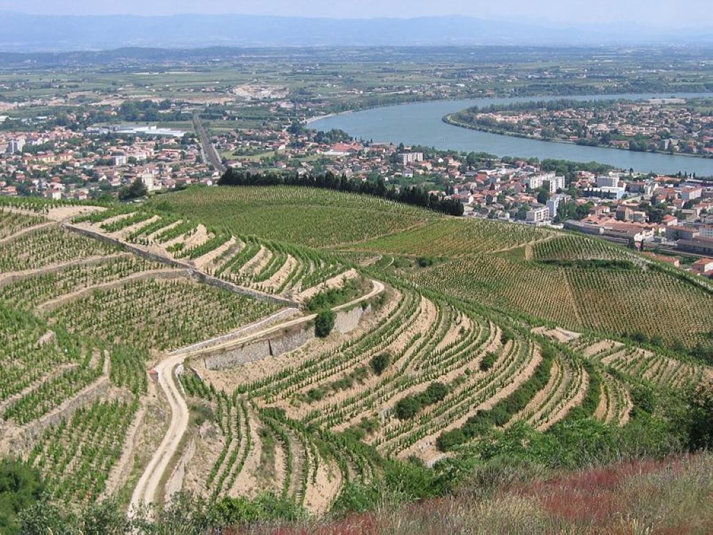 La ville de Tain lhermitage et ses vignobles Drôme France TainLHermitage