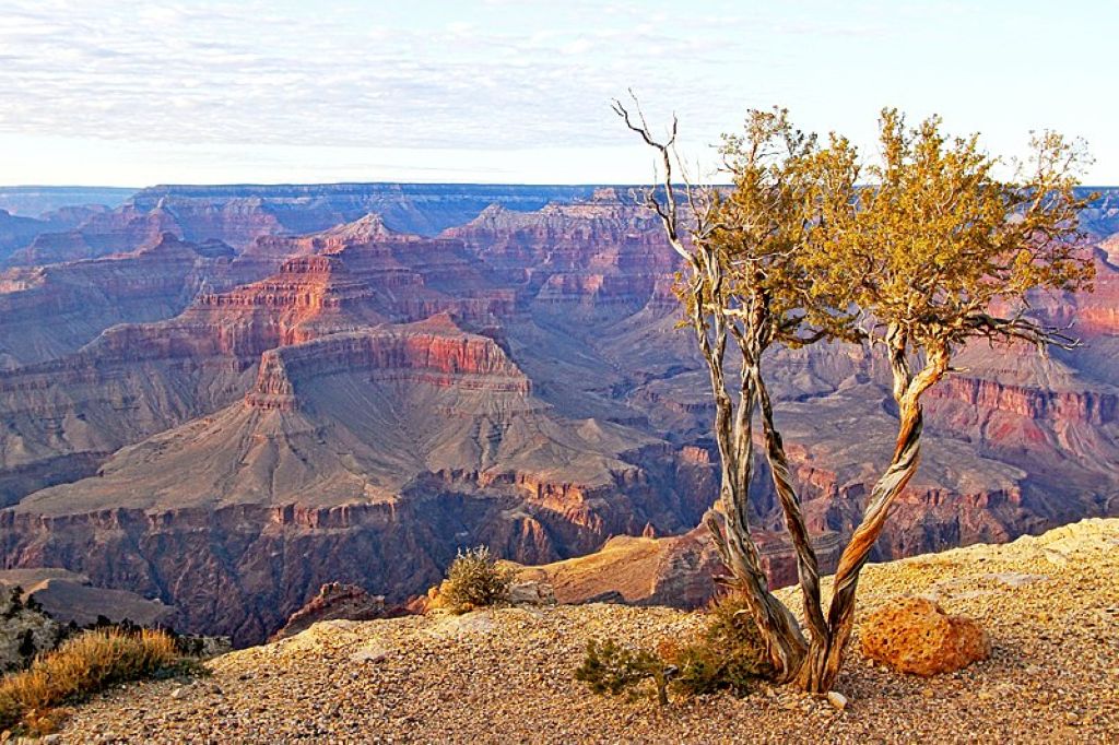 Grand Canyon National Park in Arizona United States Parc National Du Grand Canyon