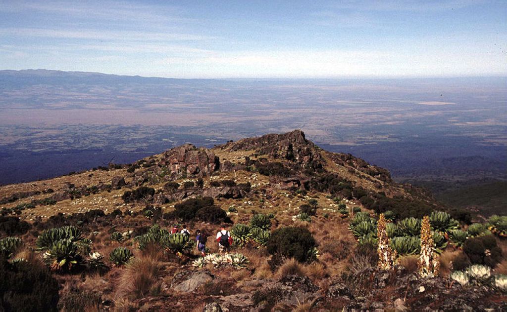 Mount Kenya near the vertical bog Parc Nationalforêt Naturelle Du Mont Kenya