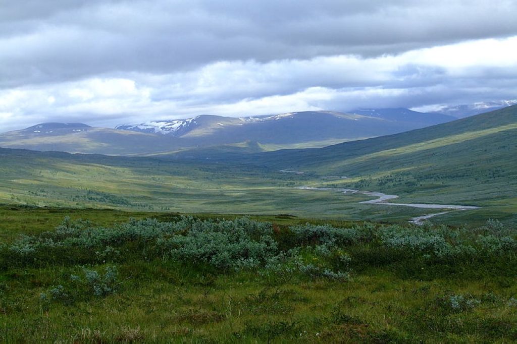 Padjelanta National Park Région De Laponie