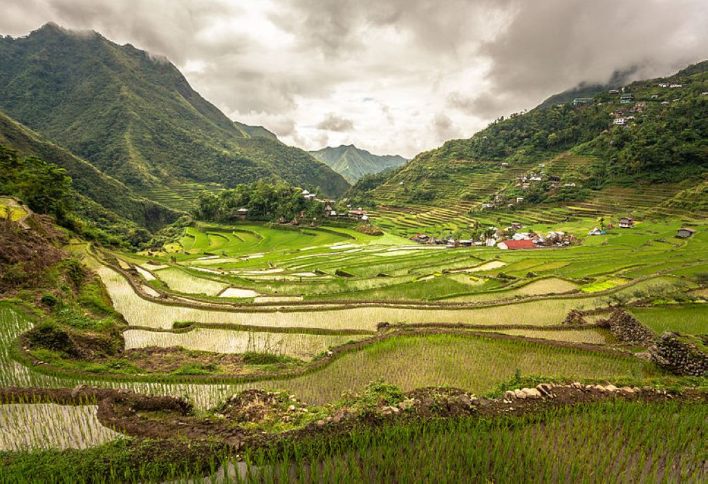 Inside the Batad rice terraces. Rizières En Terrasses Des Cordillères Des Philippines