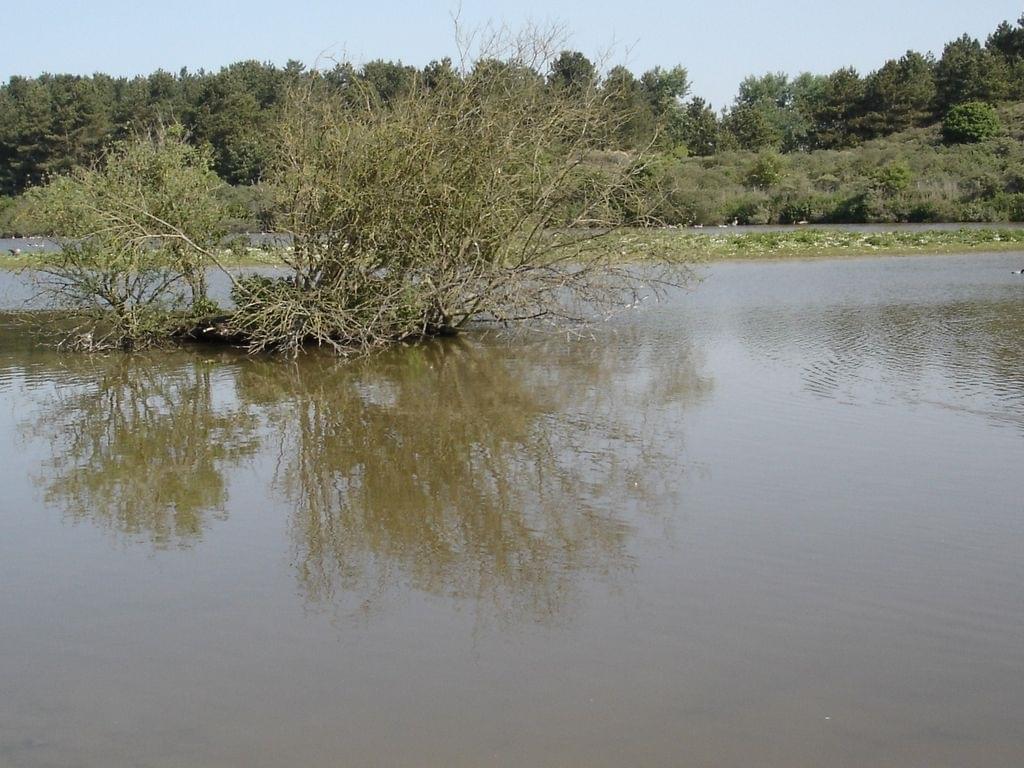 parcdumarquenterre