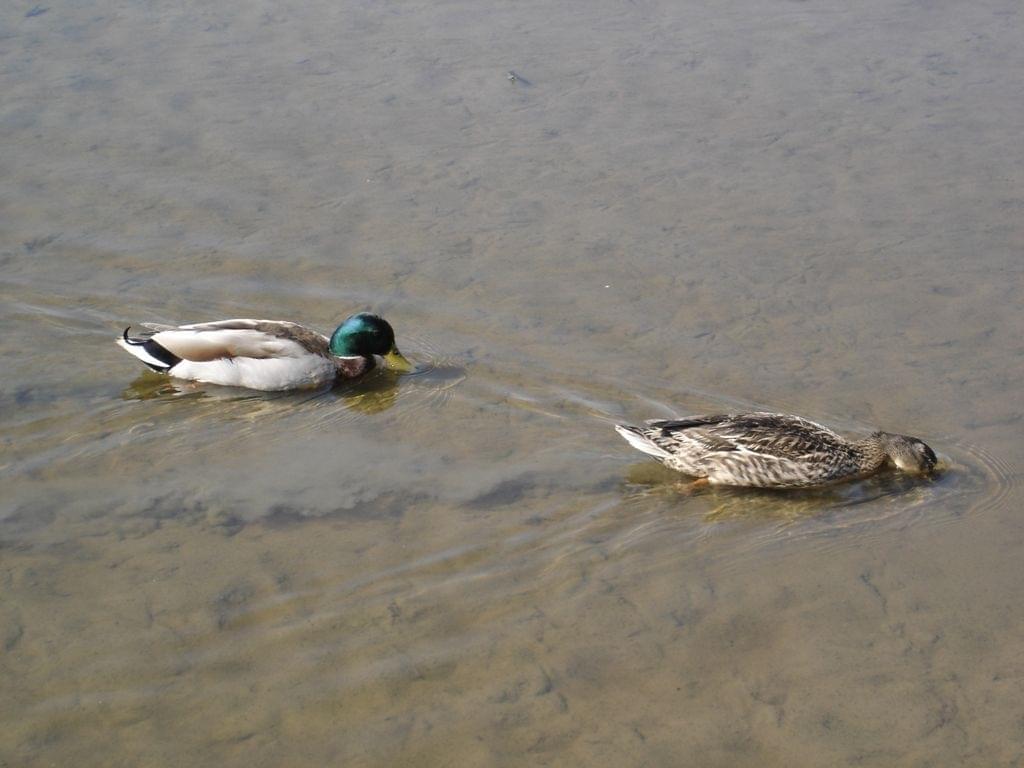 parcdumarquenterre