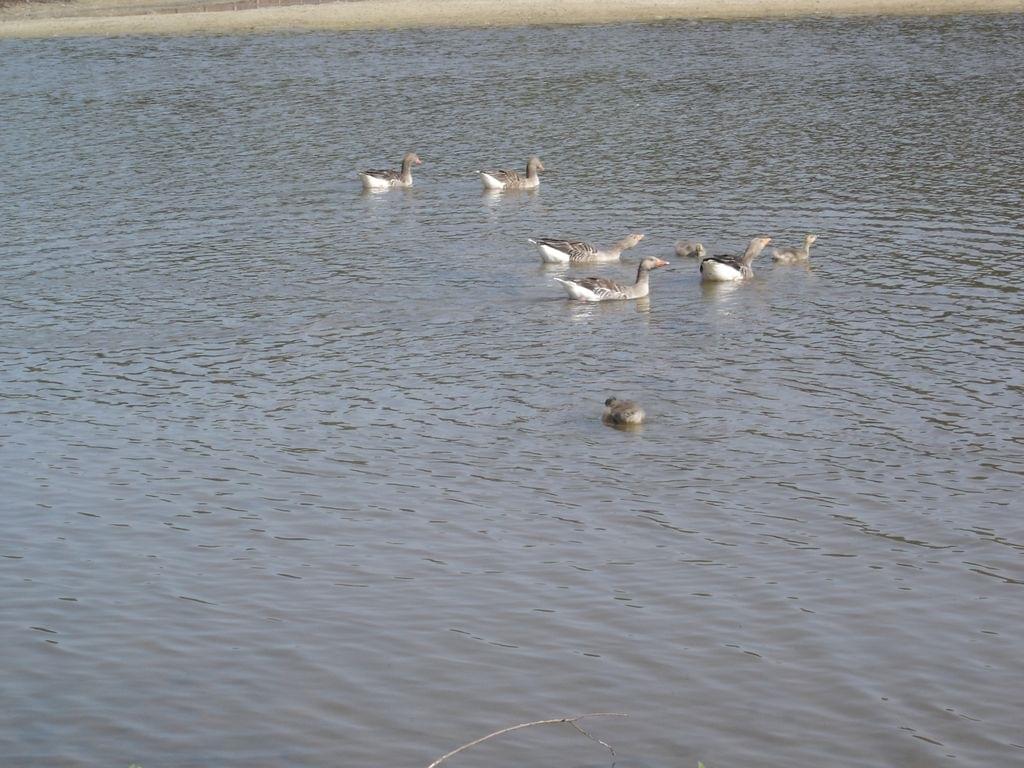 parcdumarquenterre