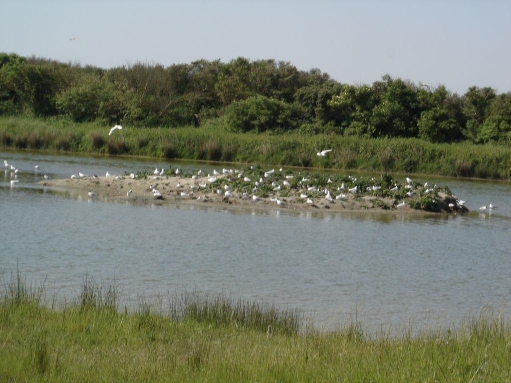 parcdumarquenterre